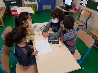 buisson_rond3.jpg Thumbnail